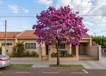 Essas árvores podem reduzir o calor no quintal e criar uma sombra natural perfeita para dias quentes