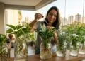 Adeus vasos e sujeira, essas plantas vivem só na água e estão mudando a forma de decorar casas em 2026