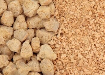 Estudo mostra que proteína de soja pode rivalizar com whey no ganho muscular