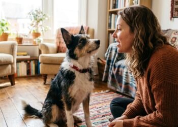 Falar com voz de bebê com seu cachorro: por que isso chama mais atenção do que o tom normal