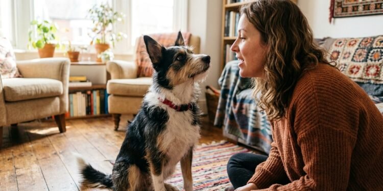 Falar com voz de bebê com seu cachorro: por que isso chama mais atenção do que o tom normal