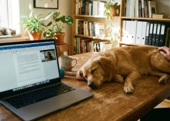 6 raças de cachorro calmas para quem trabalha em home office e quer um companheiro de rotina