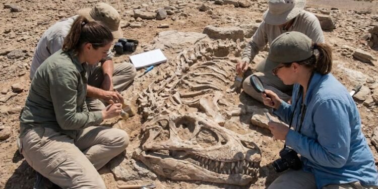 O registro fóssil de crocodylomorfos do Triássico ainda é escasso, e muitas espécies são conhecidas por um único exemplar