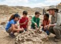 Alunos encontram fóssil de animal pré-histórico no sítio paleontológico Toropí em Corrientes