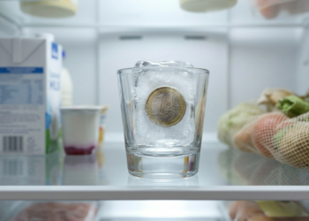 Poucos sabem por que deixar uma moeda dentro da geladeira pode indicar falta de energia