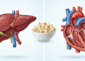 O que o milho de pipoca faz no fígado e na saúde cardiovascular