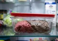 Carne moída na geladeira: quanto tempo ela dura antes de estragar e quais sinais indicam risco