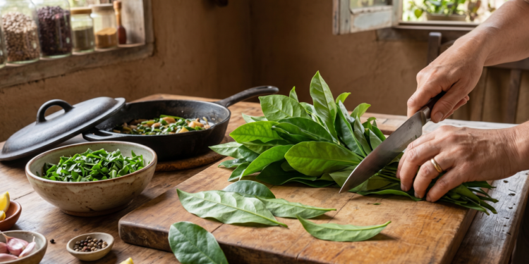 Ora-pro-nóbis é rico em nutrientes e ajuda a melhorar energia e saúde geral