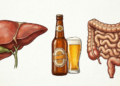 O que a cerveja faz no intestino e no fígado