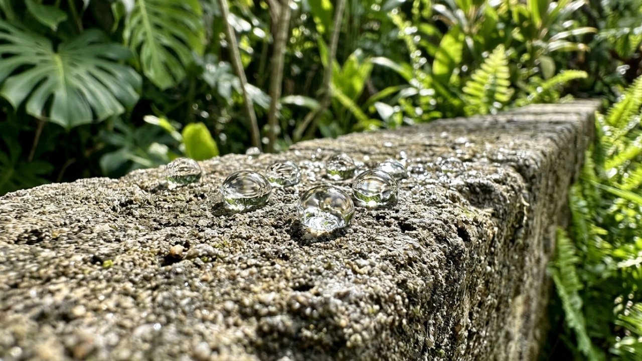 Uso de vinagre para afastar insetos no quintal