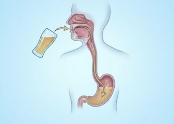 Consumo de álcool na adolescência: quais são os impactos reais no desenvolvimento do cérebro