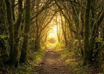 O caminho se abre para esses 3 signos quando tudo parecia travado