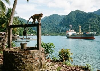 Um poço, um navio e um macaco deixados pelo Exército Japonês ao pé do Monte Mher, na Baía de Youtefa