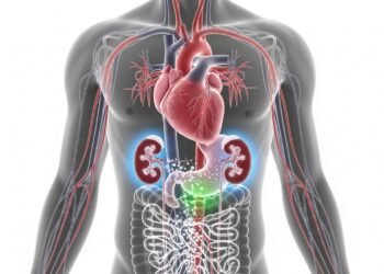 Diminuir o sal na alimentação ajuda a regular o organismo, mas os benefícios se tornam mais claros após uma semana