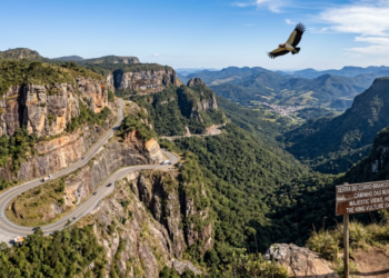 Com o maior corte de rocha do Brasil e mais de 160 milhões de anos, essa estrada leva o nome de uma ave que não existe nela