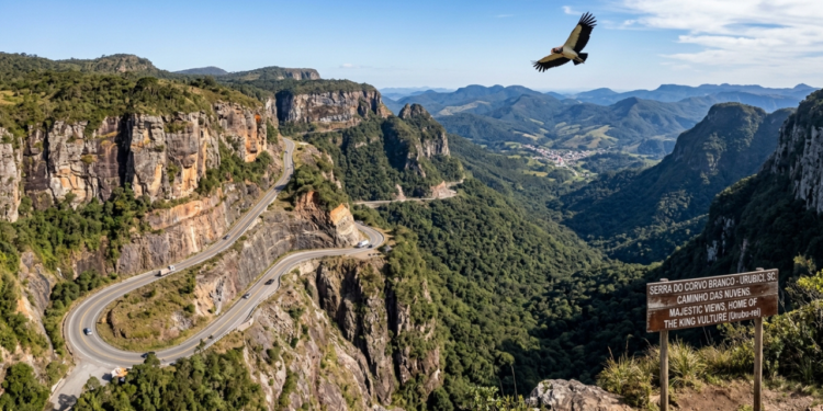 Com o maior corte de rocha do Brasil e mais de 160 milhões de anos, essa estrada leva o nome de uma ave que não existe nela
