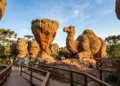 Os arenitos de 400 milhões de anos com a Taça, o Camelo e o primeiro parque natural tombado do Paraná