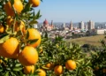 A “Capital da Laranja” surpreende ao reunir a maior exportadora de suco do mundo e qualidade de vida que atrai moradores