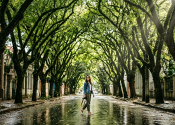 Parece cenário de filme, mas é no Brasil onde fica a rua mais bonita do mundo, com 156 árvores que formam um túnel verde em uma capital