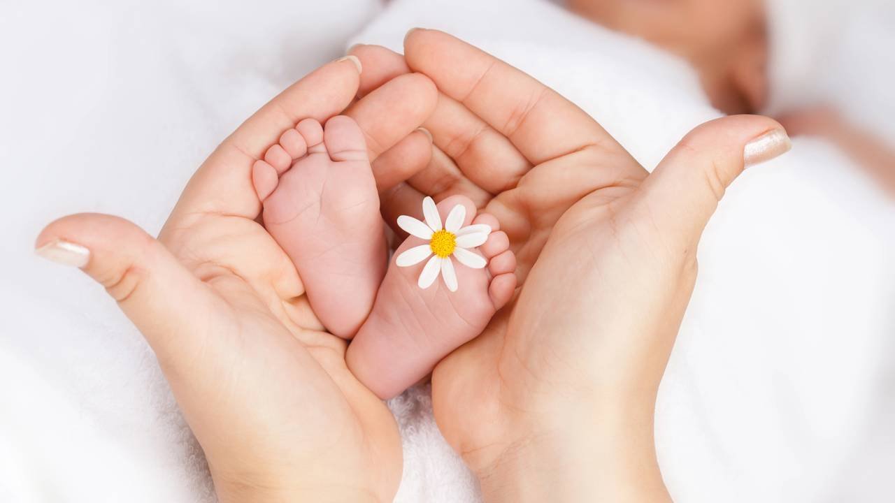 Os 5 nomes de meninas inspirados em flores raras que voltam com força em 2026