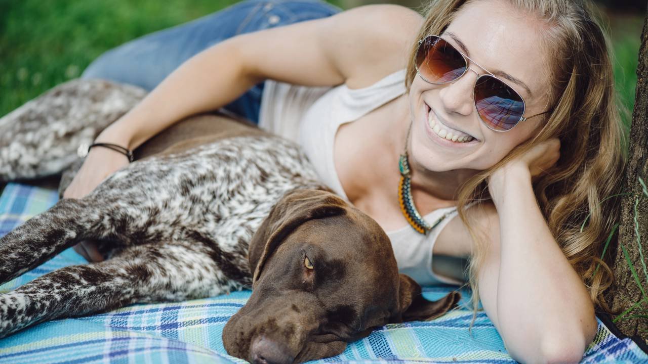O que significa que um cachorro encoste a cabeça em você quando está deitado