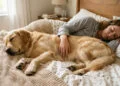O que significa para o seu cão dormir perto de você, segundo veterinários