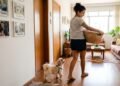 O significado de um cachorro seguir você pela casa, o que esse comportamento revela