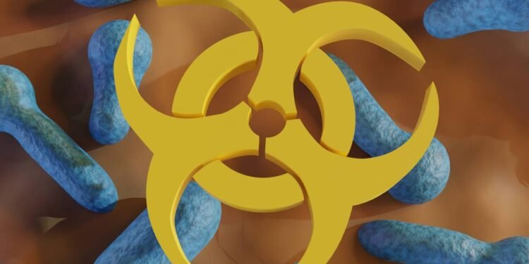 A inovação mais intrigante que promete atuar no cérebro e reduzir danos silenciosos - Créditos: depositphotos.com / ariteguhas@gmail.com