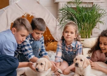 Crianças que crescem com cães desenvolvem hábitos importantes que vão além da convivência diária