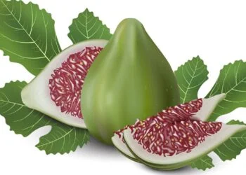 A folha pouco conhecida que ajuda a controlar a glicose e reduz inflamações naturalmente