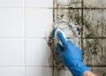 Sem água sanitária nem produtos caros: a melhor forma de eliminar mofo do banheiro
