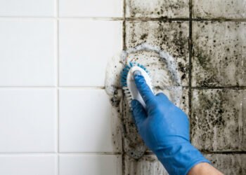 Sem água sanitária nem produtos caros: a melhor forma de eliminar mofo do banheiro