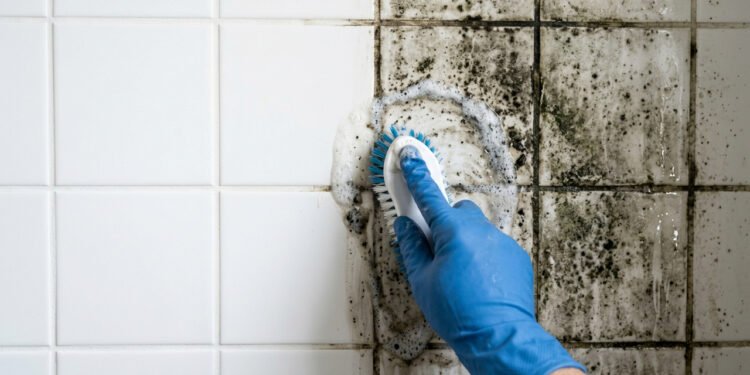 Sem água sanitária nem produtos caros: a melhor forma de eliminar mofo do banheiro