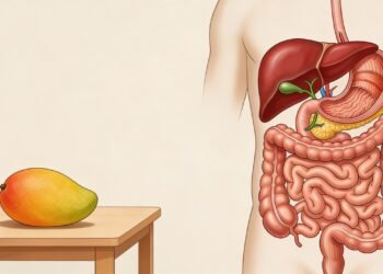 A fruta chamada de tesouro tropical que ajuda a melhorar a digestão e cresce bem em pequenos espaços