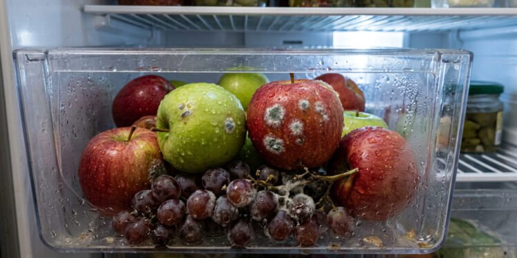 Você deve lavar frutas antes de guardar na geladeira