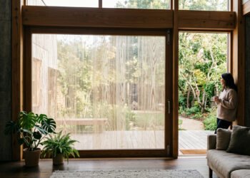 O vidro tradicional pode ser substituído: cientistas testam madeira transparente como alternativa ao vidro comum