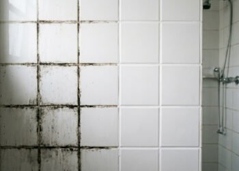 Como remover mofo do rejunte do banheiro em poucos passos simples