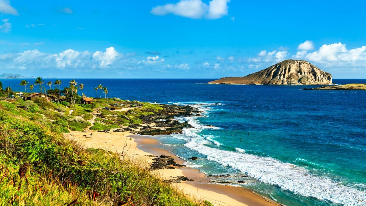 O que significa a frase “Ohana”, a expressão havaiana que ficou famosa no filme Lilo & Stitch