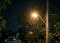 De acordo com a ciência, o que significa quando pequenos insetos aparecem perto da luz dentro de casa