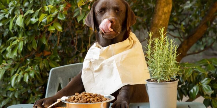 A toxicidade em cães varia drasticamente conforme a espécie da planta consumida - Créditos: depositphotos.com / karolina-kruz@mail.ru