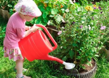 As 6 plantas seguras para jardins com crianças e pets que ainda deixam o ambiente mais bonito