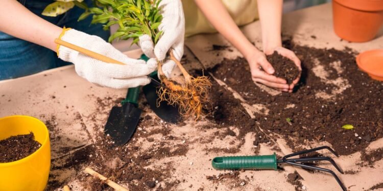 Errar na estrutura do jardim é humano, mas persistir na falta de orientação técnica - Créditos: depositphotos.com / SashaKhalabuzar