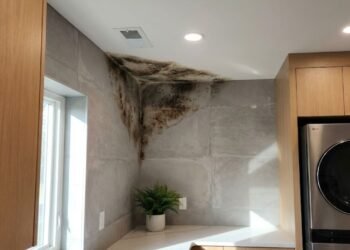 Segundo a ciência, o que significa encontrar mofo com frequência em certos pontos da casa