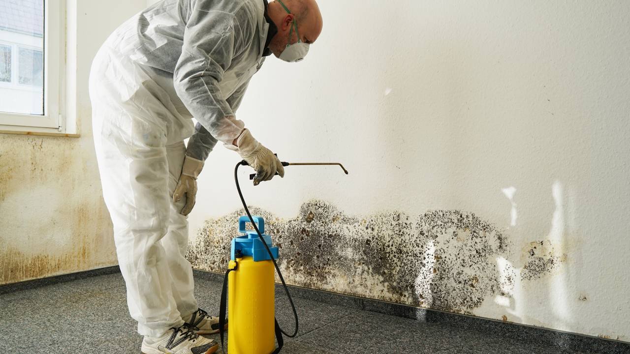 Poucos sabem o método caseiro para eliminar cheiro de mofo de armários em apartamentos úmidos no litoral