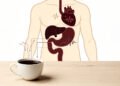 O que o café faz no estômago e no coração