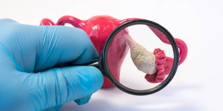 Essa alteração hormonal comum pode travar o emagrecimento e aumentar a barriga -Créditos: depositphotos.com / Shidlovski