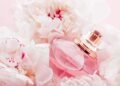 Os 4 perfumes doces e marcantes que fixam o dia inteiro e mais rendem elogios em festas e baladas