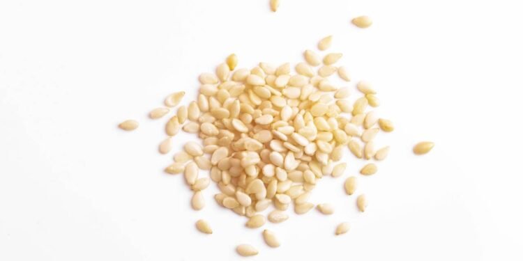 O gergelim pode transformar seus ossos e melhorar pele e cabelo - Créditos: depositphotos.com / Primakov