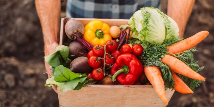 Esse grupo de vegetais ajuda a estabilizar a glicose e melhorar o metabolismo - Créditos: depositphotos.com / AndrewLozovyi