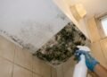 Muita gente passa água sanitária no teto do banheiro sem saber que esse líquido barato de farmácia elimina a raiz do mofo escuro em 15 minutos